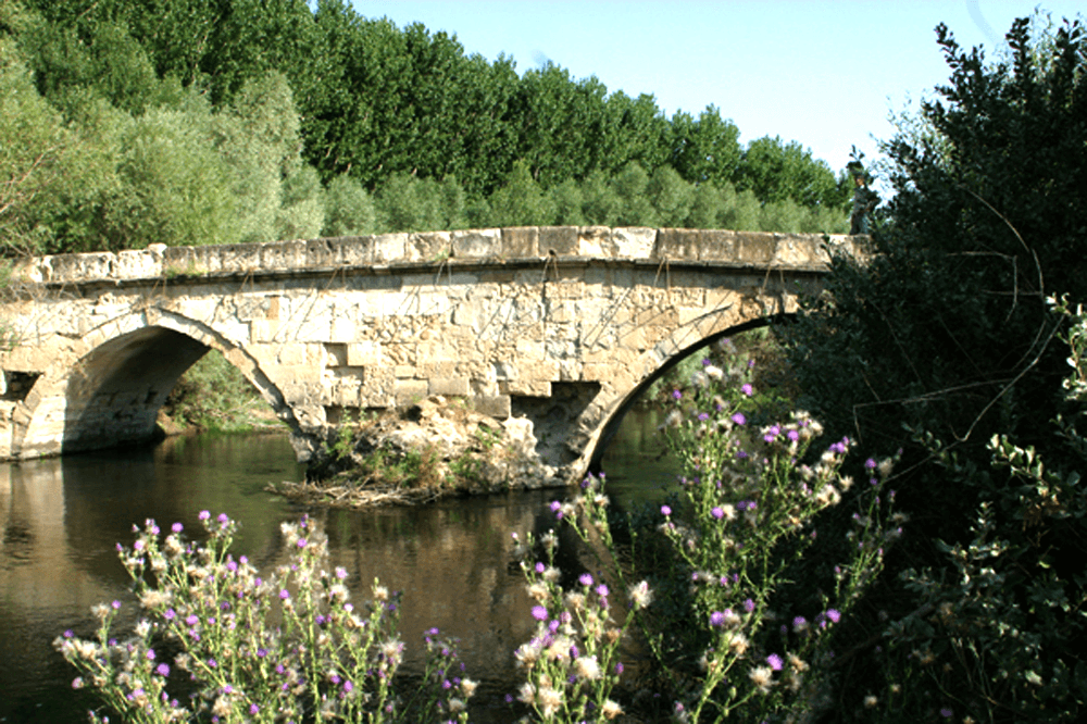 A two-arched historic stone bridge, built in 1516 during Sultan Selim I's Egyptian campaign.
