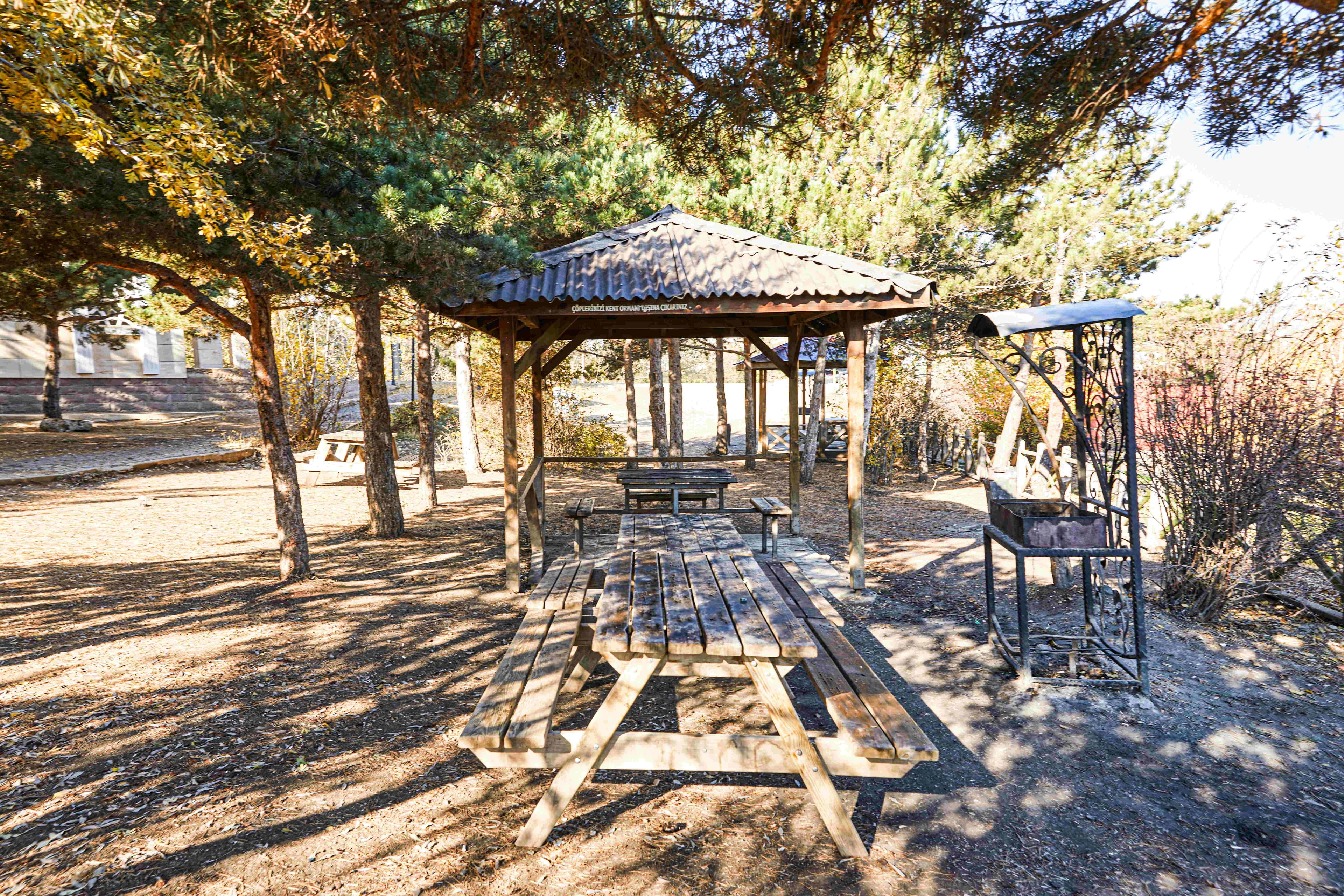 Parc national de Çamlık