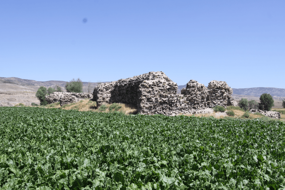 A ruined 13th-century Seljuk caravanserai commissioned by the queen mother Mahperi Hatun.