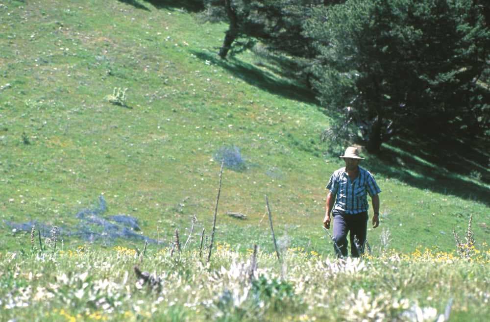 Yahyasaray (Sırıklı) Plateau