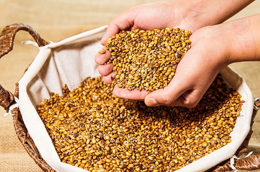 Kavurga (grains torréfiés)
