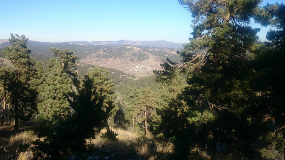 Forêts de Güzelyayla