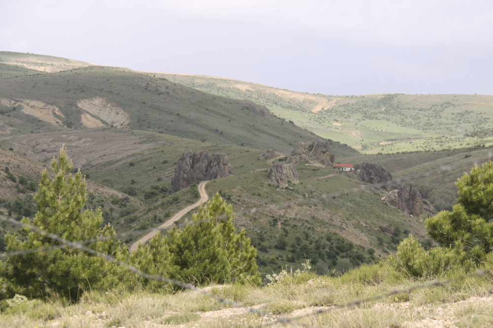 A plateau just 2 km from Yozgat city, famous for the 'Gelin Kayası' rock formation and its wild tulip meadows.