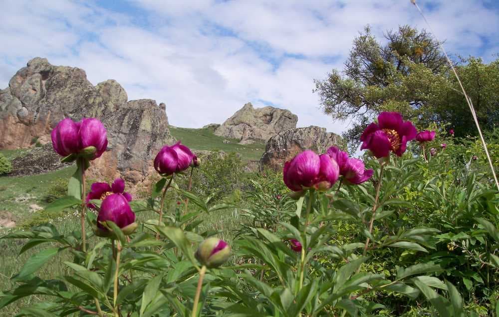 Cehirlik Plateau