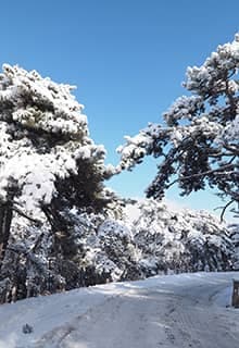 Yozgat