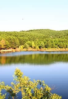 Çamlık Milli Parkı, Yozgat denince akla ilke gelen yerlerden biri.  Kısaca Çamlık adıyla bilinen bu yer; bitki örtüsü, su kaynakları ve ulu ağaçları sayesinde,