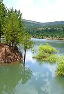 Çamlık Milli Parkı, Yozgat denince akla ilke gelen yerlerden biri.  Kısaca Çamlık adıyla bilinen bu yer; bitki örtüsü, su kaynakları ve ulu ağaçları sayesinde,